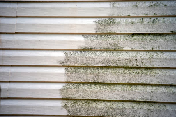 Affordable siding repair and maintenance services in High Bridge, NJ