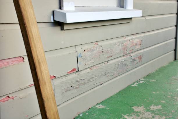 Best Siding Painting and Refinishing  in High Bridge, NJ