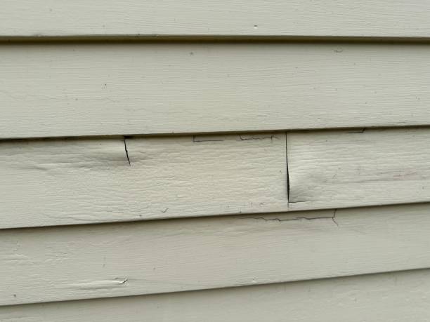 Best Brick Veneer Siding  in High Bridge, NJ